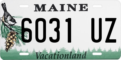 ME license plate 6031UZ