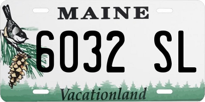 ME license plate 6032SL