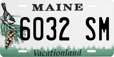 ME license plate 6032SM