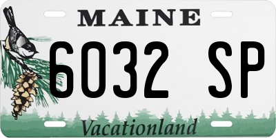 ME license plate 6032SP