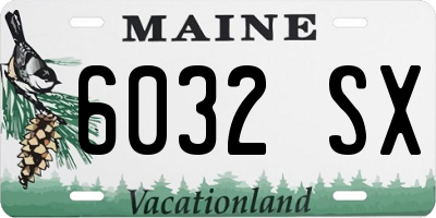 ME license plate 6032SX