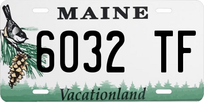 ME license plate 6032TF