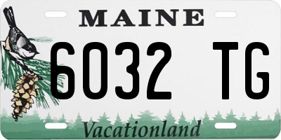ME license plate 6032TG