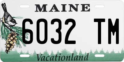 ME license plate 6032TM