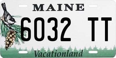 ME license plate 6032TT