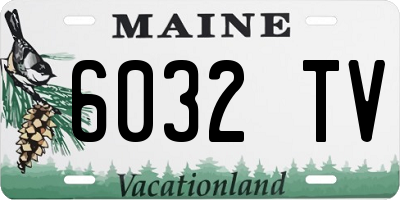 ME license plate 6032TV