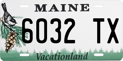 ME license plate 6032TX