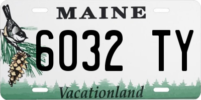ME license plate 6032TY