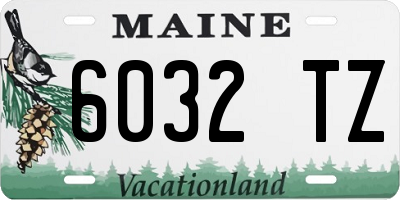 ME license plate 6032TZ