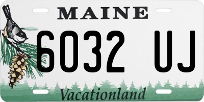 ME license plate 6032UJ