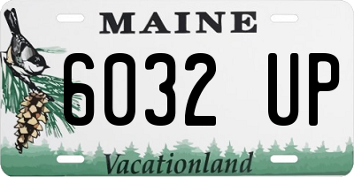 ME license plate 6032UP