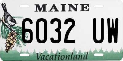 ME license plate 6032UW