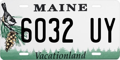 ME license plate 6032UY