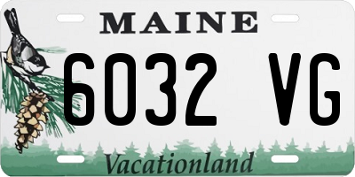 ME license plate 6032VG