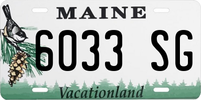 ME license plate 6033SG