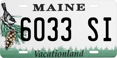 ME license plate 6033SI