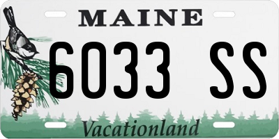 ME license plate 6033SS