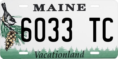 ME license plate 6033TC