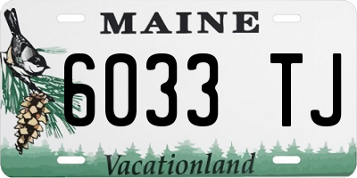 ME license plate 6033TJ