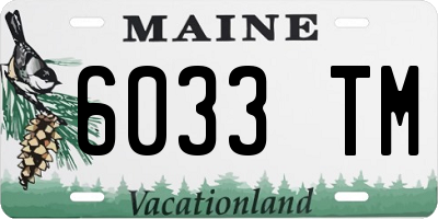 ME license plate 6033TM