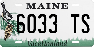 ME license plate 6033TS