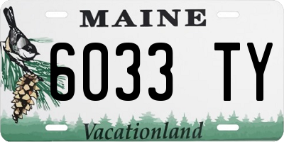 ME license plate 6033TY