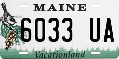 ME license plate 6033UA