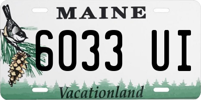 ME license plate 6033UI