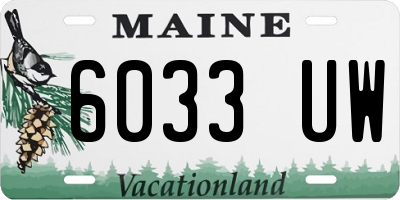 ME license plate 6033UW