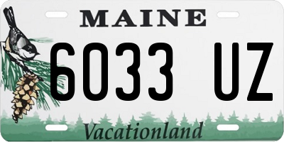 ME license plate 6033UZ