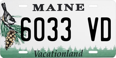 ME license plate 6033VD