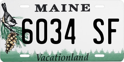 ME license plate 6034SF