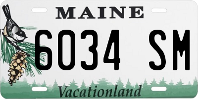 ME license plate 6034SM