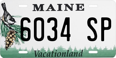 ME license plate 6034SP
