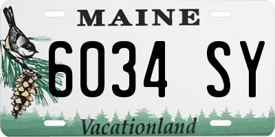 ME license plate 6034SY