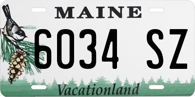 ME license plate 6034SZ