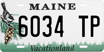 ME license plate 6034TP