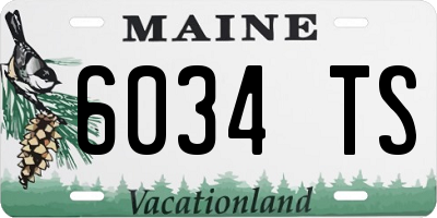 ME license plate 6034TS