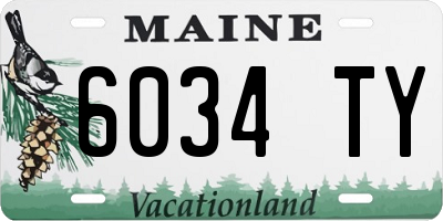 ME license plate 6034TY