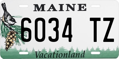 ME license plate 6034TZ