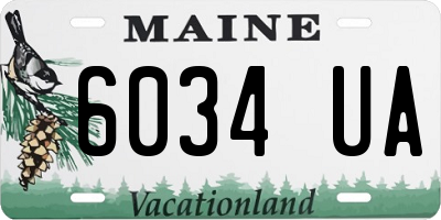 ME license plate 6034UA