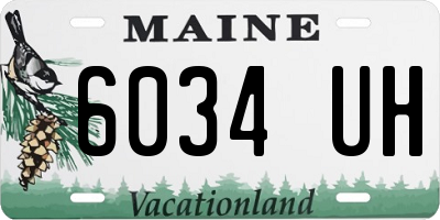 ME license plate 6034UH