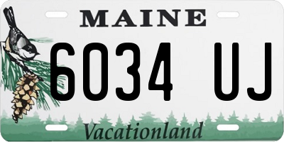 ME license plate 6034UJ