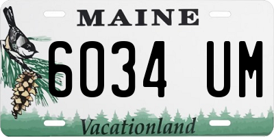 ME license plate 6034UM