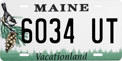 ME license plate 6034UT