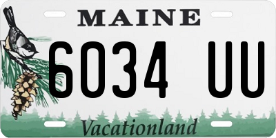 ME license plate 6034UU