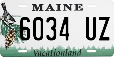 ME license plate 6034UZ