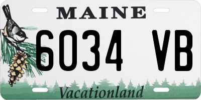 ME license plate 6034VB