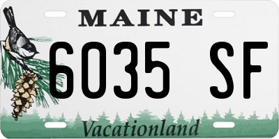 ME license plate 6035SF