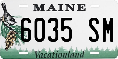 ME license plate 6035SM